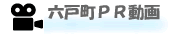 Z˒PR